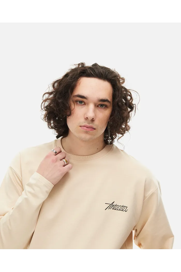 Лонгслив ANTEATER PHAT SLEEVE бежевый