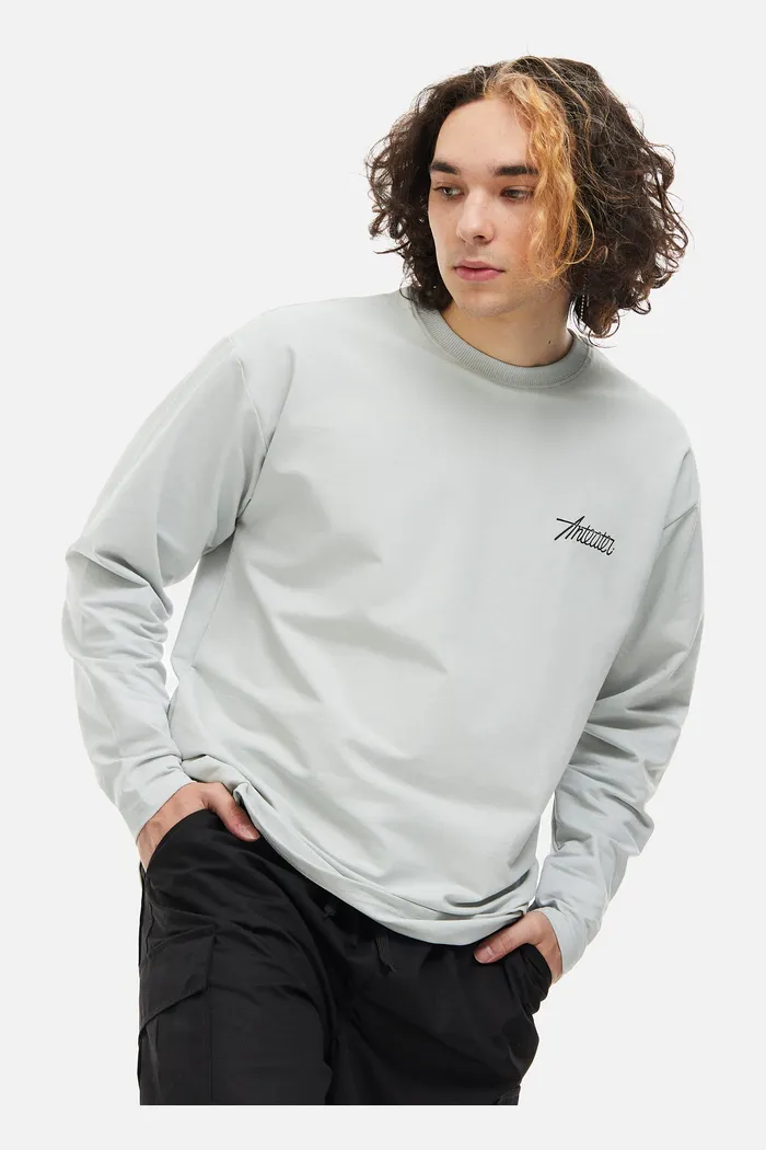 Лонгслив ANTEATER PHAT SLEEVE светло-серый