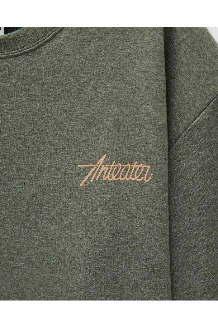 Футболка ANTEATER PHAT TEE 323 серая 