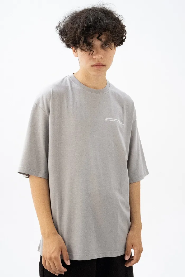 602 Ash Text grey футболка OS