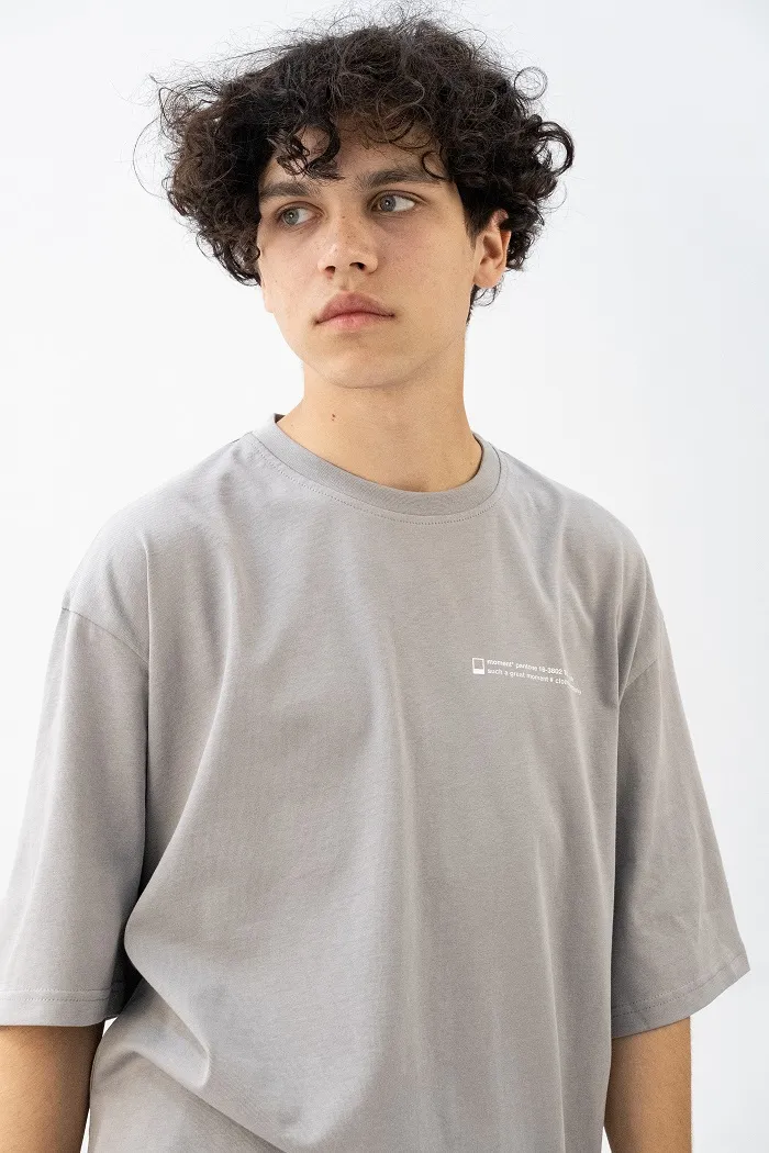 602 Ash Text grey футболка OS