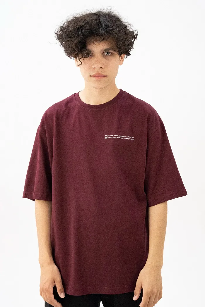 Футболка 602 Windsor Wine Text bordo бордовая