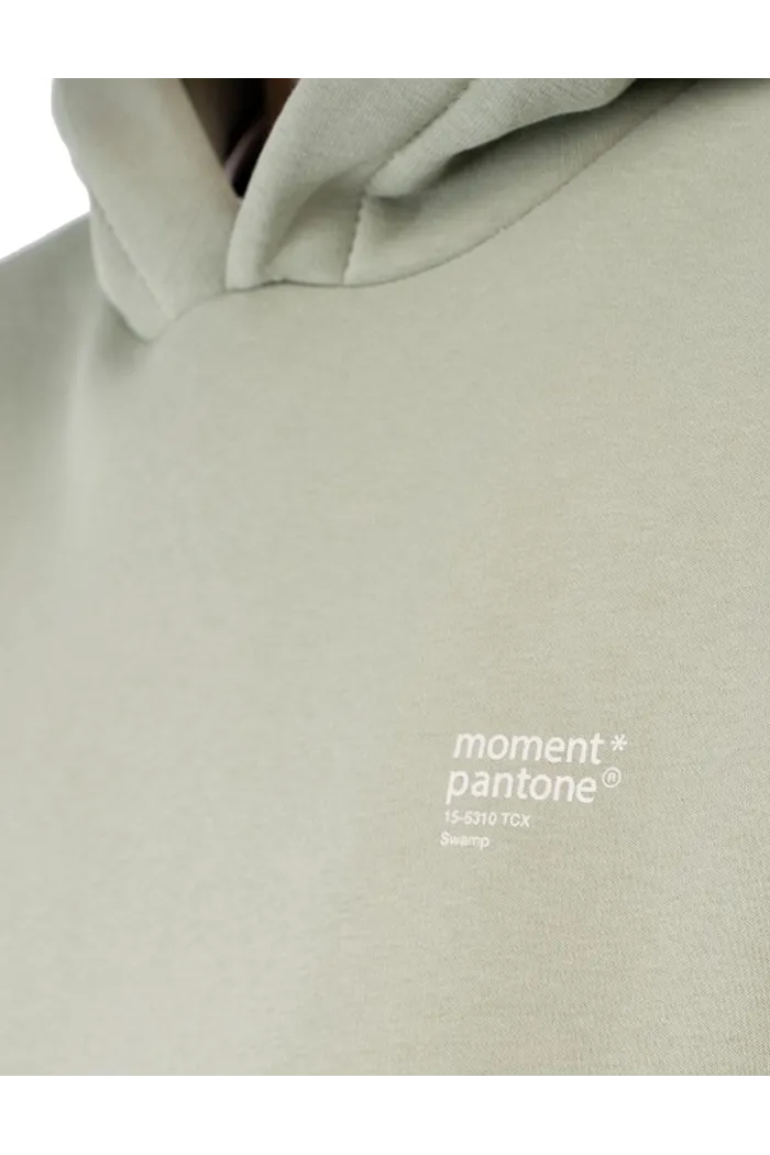 Толстовка с капюшоном 9000 U BRUSH светло зеленая OS