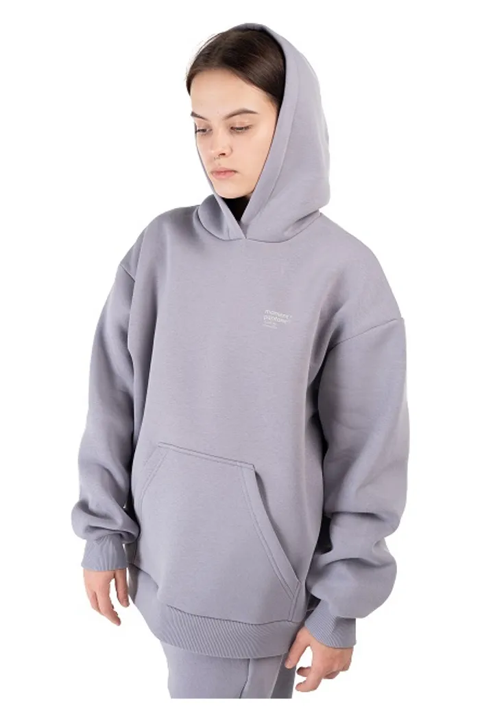 Толстовка с капюшоном 9004 W BRUSH grey OS