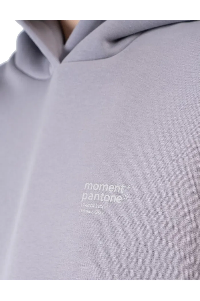 Толстовка с капюшоном 9004 W BRUSH grey OS