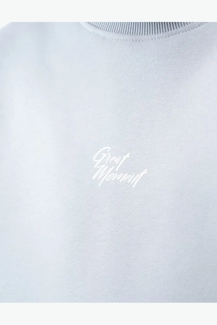 Толстовка 8802 Unisex BRUSH lt.grey OS