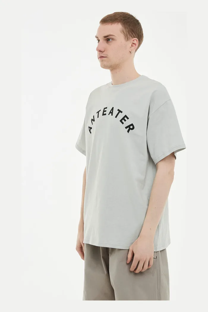 Футболка ANTEATER 349 светло-серая