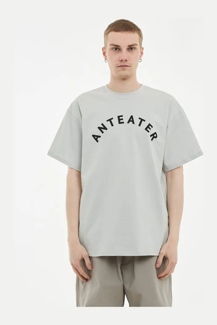 Футболка ANTEATER 349 светло-серая
