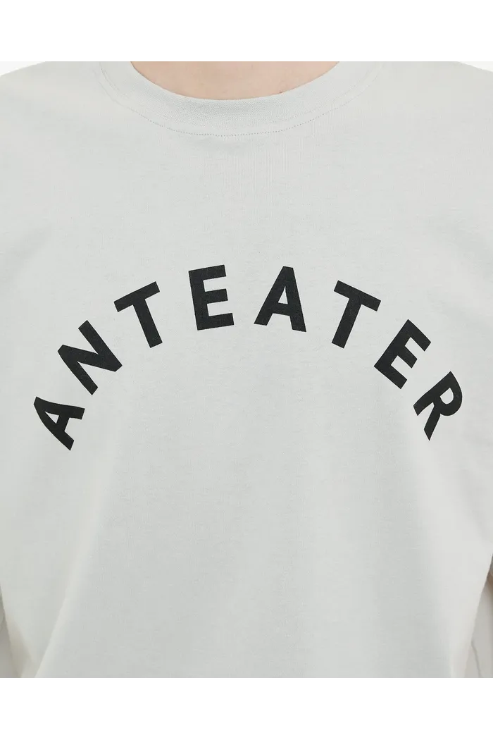Футболка ANTEATER 349 светло-серая