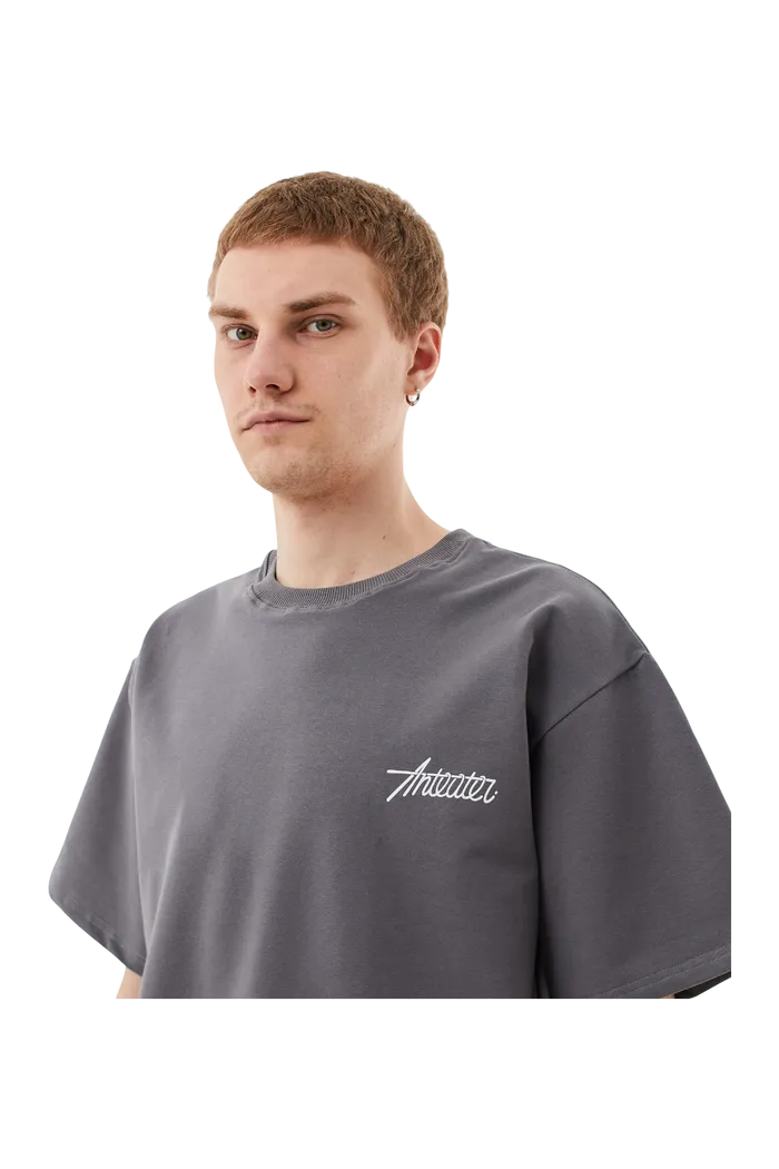 Футболка ANTEATER Phat-480 серая