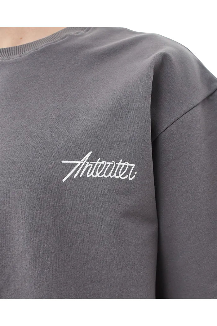 Футболка ANTEATER Phat-480 серая