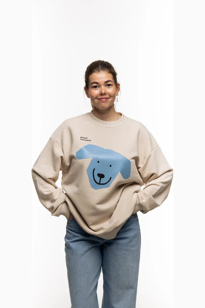 Свитшот  бежевый Moment Blue Big Dog beige