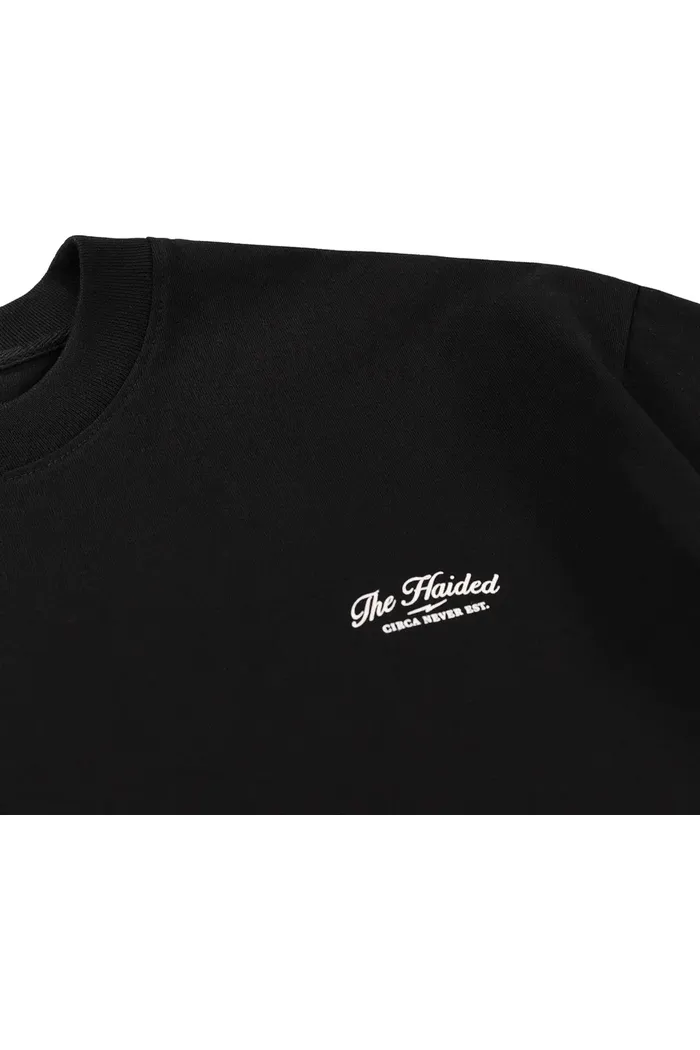 CHECKERED FLAG RLXD HW TEE black футболка