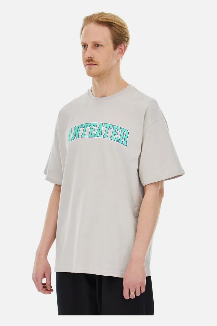 Футболка ANTEATER 407 серый