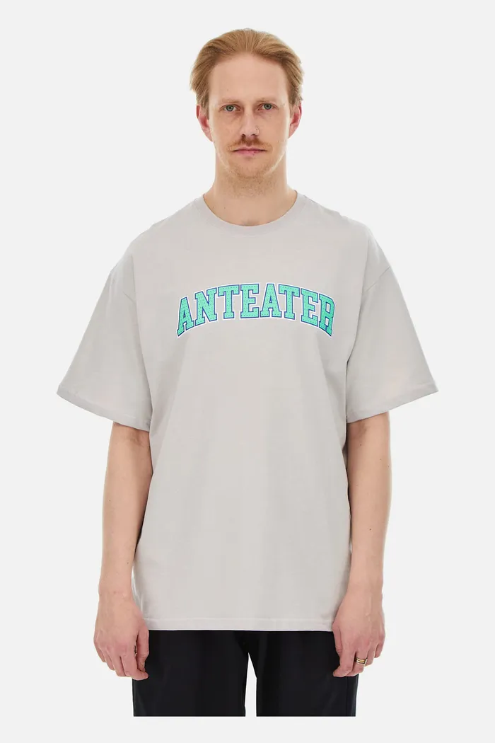 Футболка ANTEATER 407 серый