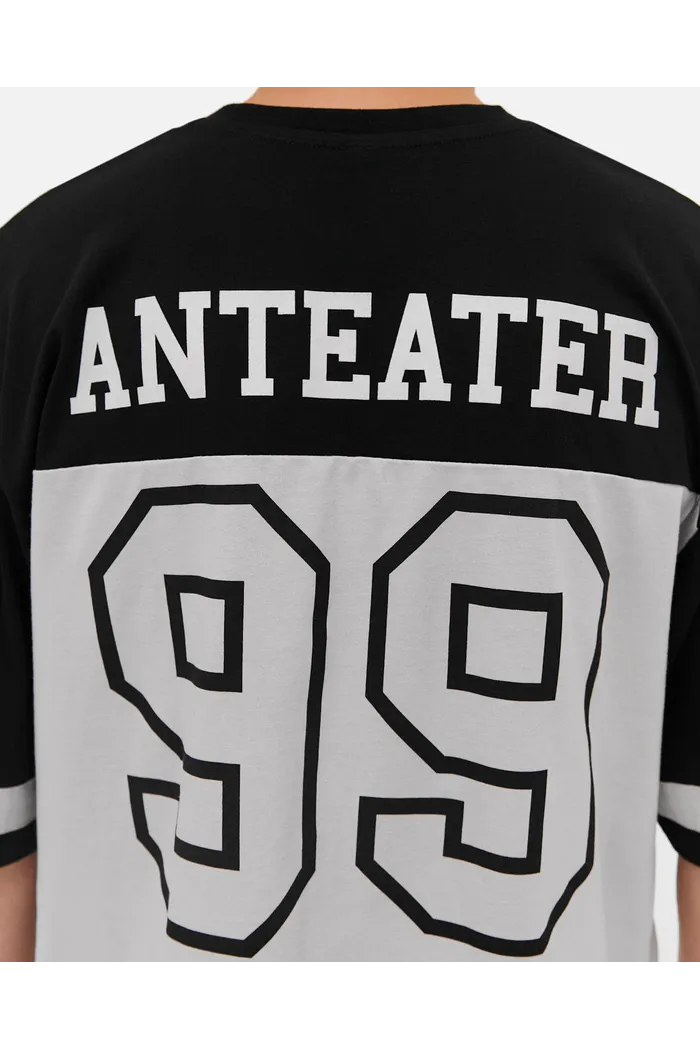 Футболка ANTEATER 413