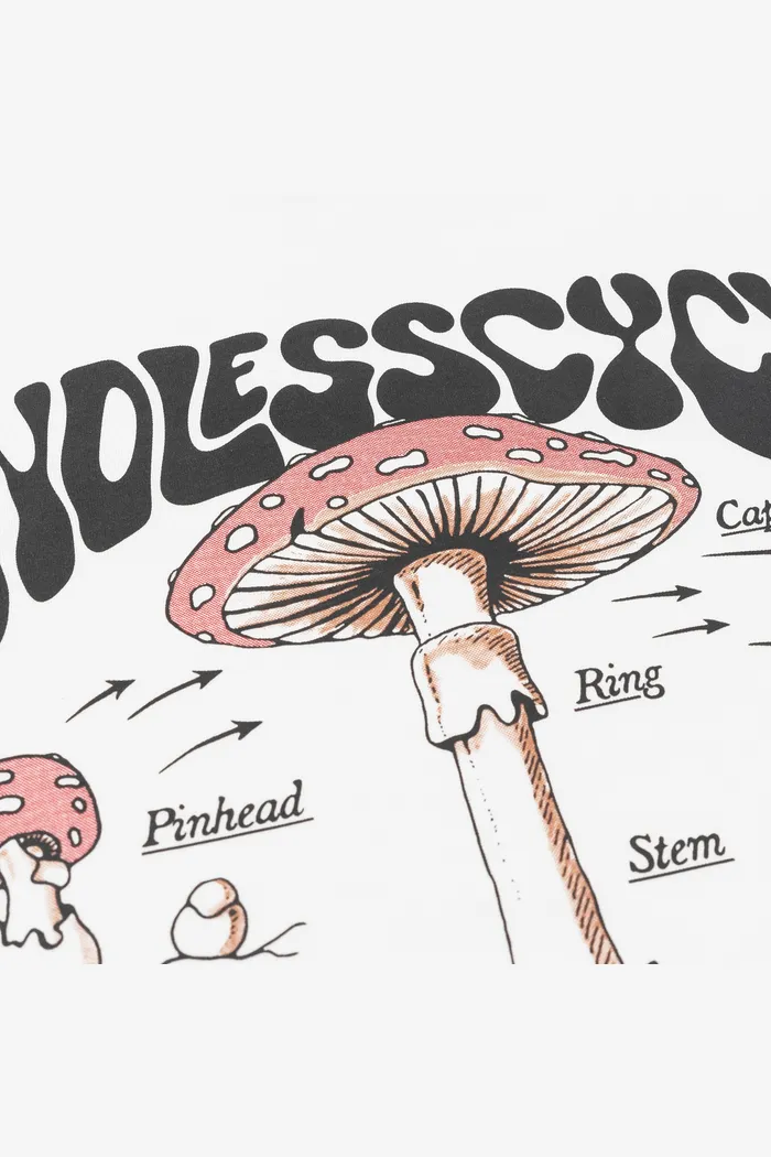 ENDLESS CYCLE RLXD HW LS TEE white лонгслив