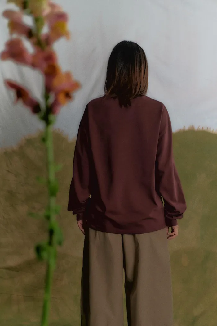 Лонгслив College Longsleeve Cherry