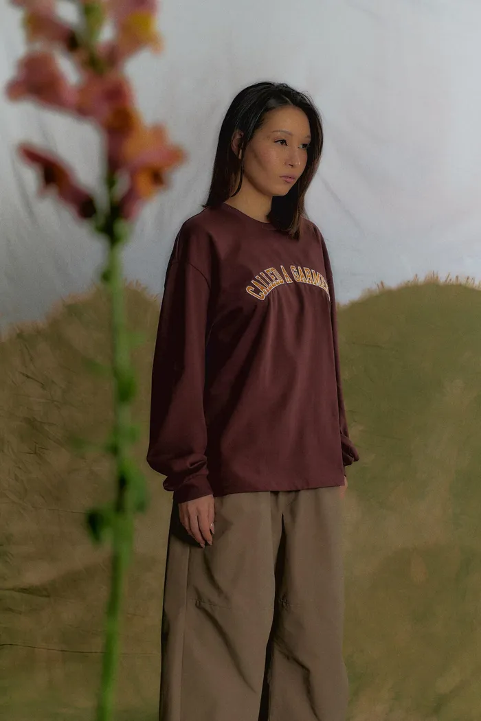 Лонгслив College Longsleeve Cherry