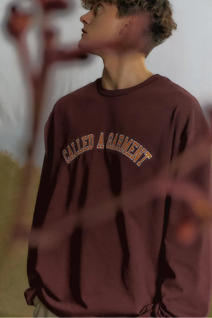 Лонгслив College Longsleeve Cherry