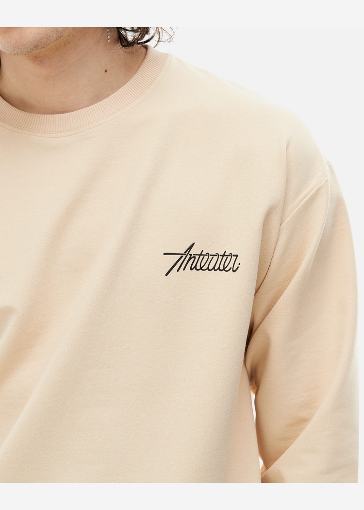Лонгслив ANTEATER PHAT SLEEVE бежевый