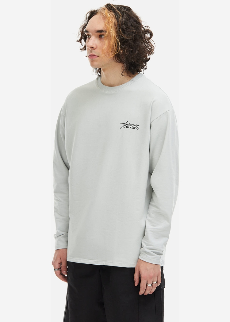 Лонгслив ANTEATER PHAT SLEEVE светло-серый
