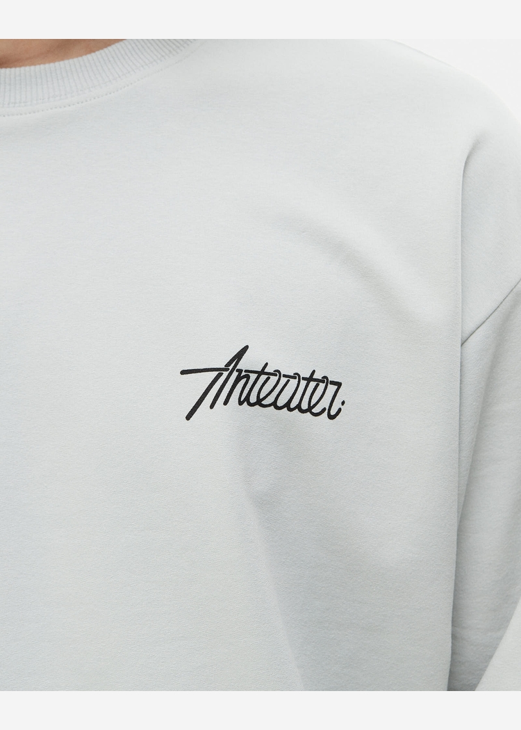 Лонгслив ANTEATER PHAT SLEEVE светло-серый