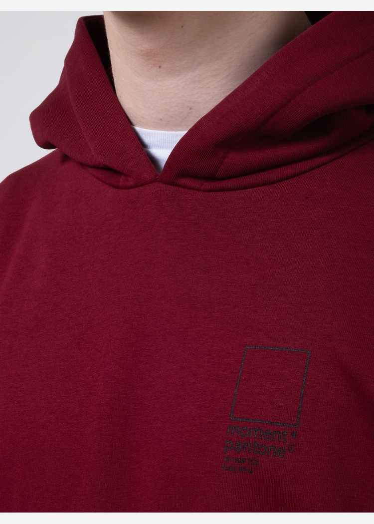 Худи с капюшоном 9000 LOOP unisex ruby 