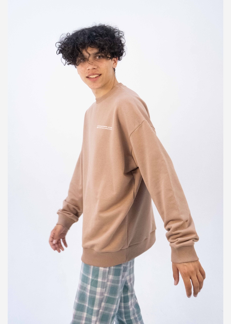 Свитшот 8802 unisex dk.beige OS
