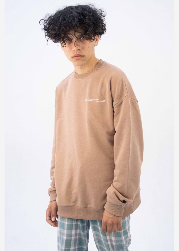 Свитшот 8802 unisex dk.beige OS