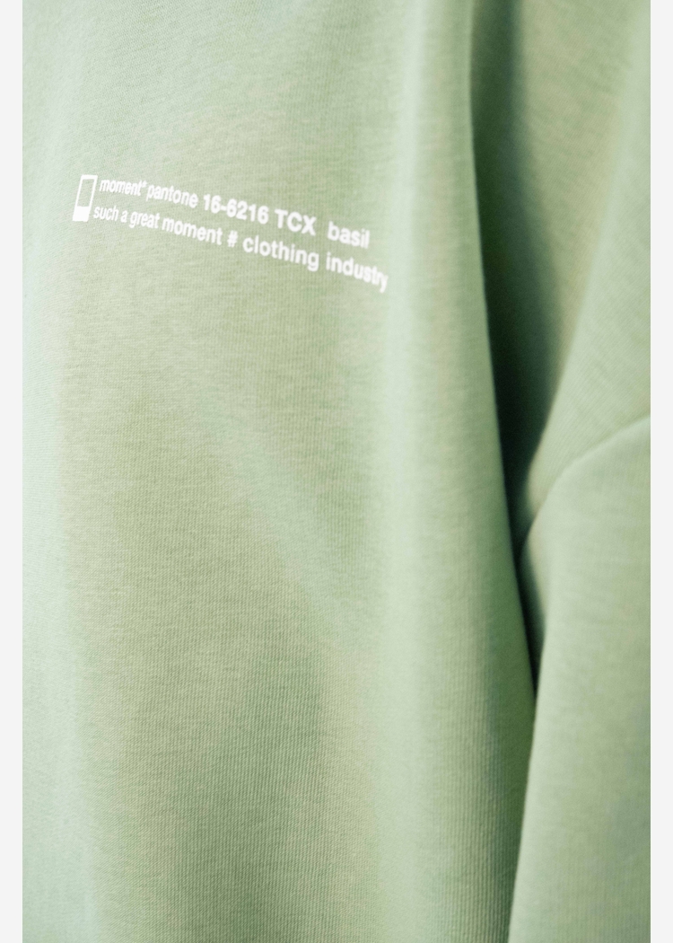 Свитшот 8802 unisex lt.green OS