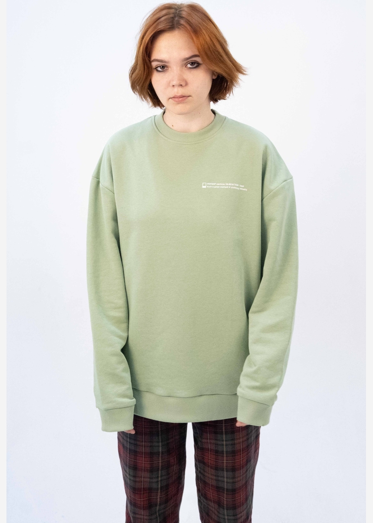 Свитшот 8802 unisex lt.green OS