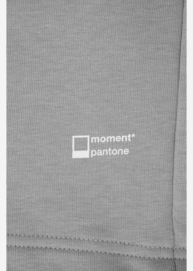 Шорты Moment 9010 W серые