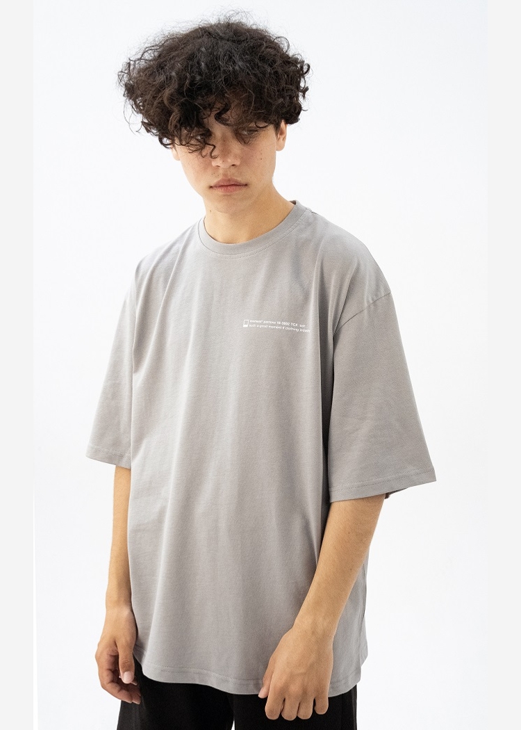 602 Ash Text grey футболка OS