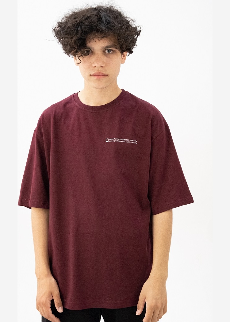 Футболка 602 Windsor Wine Text bordo бордовая