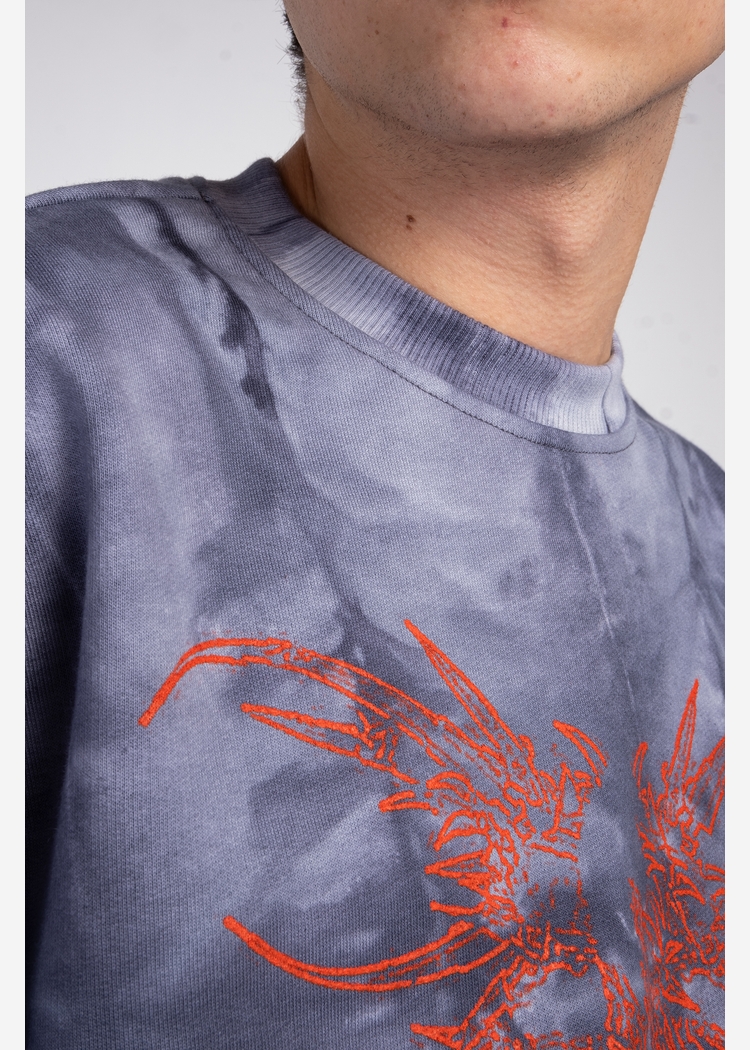 Толстовка Tie Dye Hidric Red1 gray man