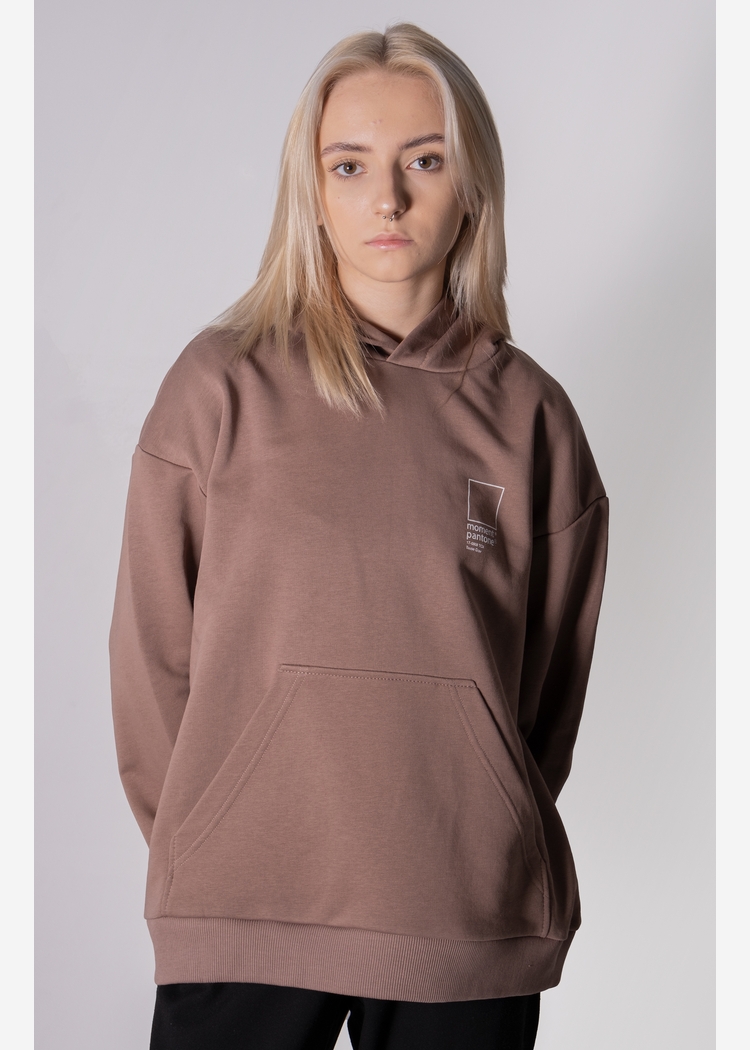 Толстовка с капюшоном 9004 W grey-brown OS