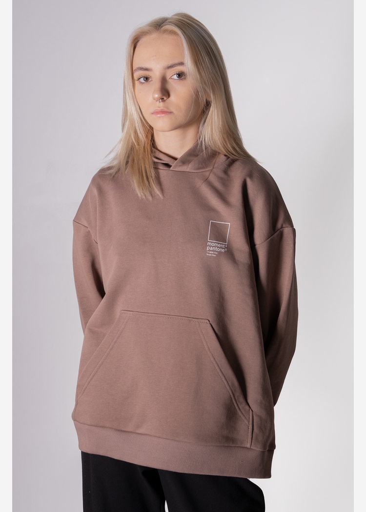 Толстовка с капюшоном 9004 W grey-brown OS