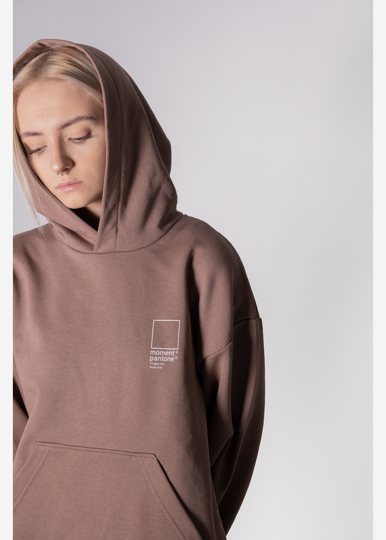 Толстовка с капюшоном 9004 W grey-brown OS