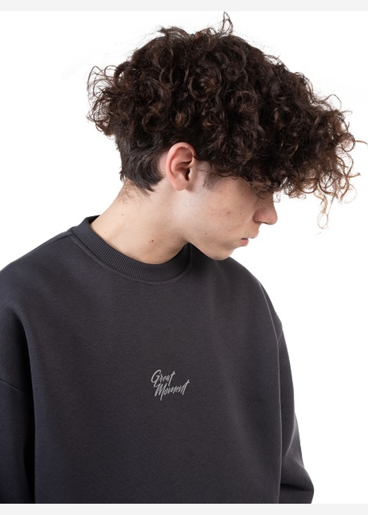 Толстовка 8802 Unisex BRUSH dk.grey OS