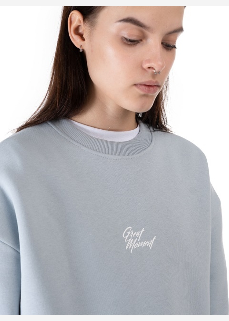 Толстовка 8802 Unisex BRUSH lt.grey OS