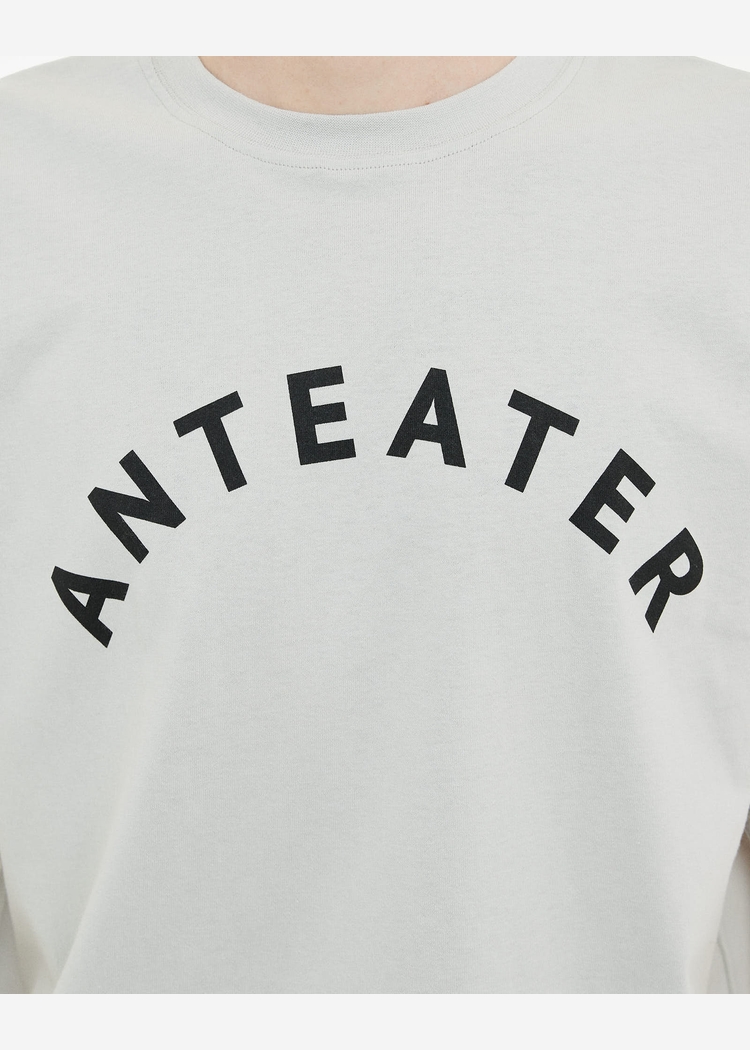 Футболка ANTEATER 349 светло-серая