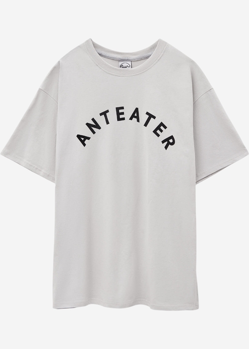 Футболка ANTEATER 349 светло-серая