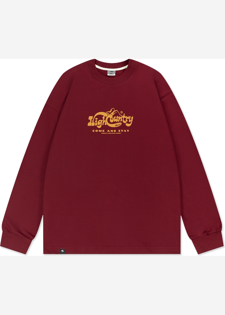 Лонгслив HIGH RLXD FIRM LS TEE бордовый унисекс