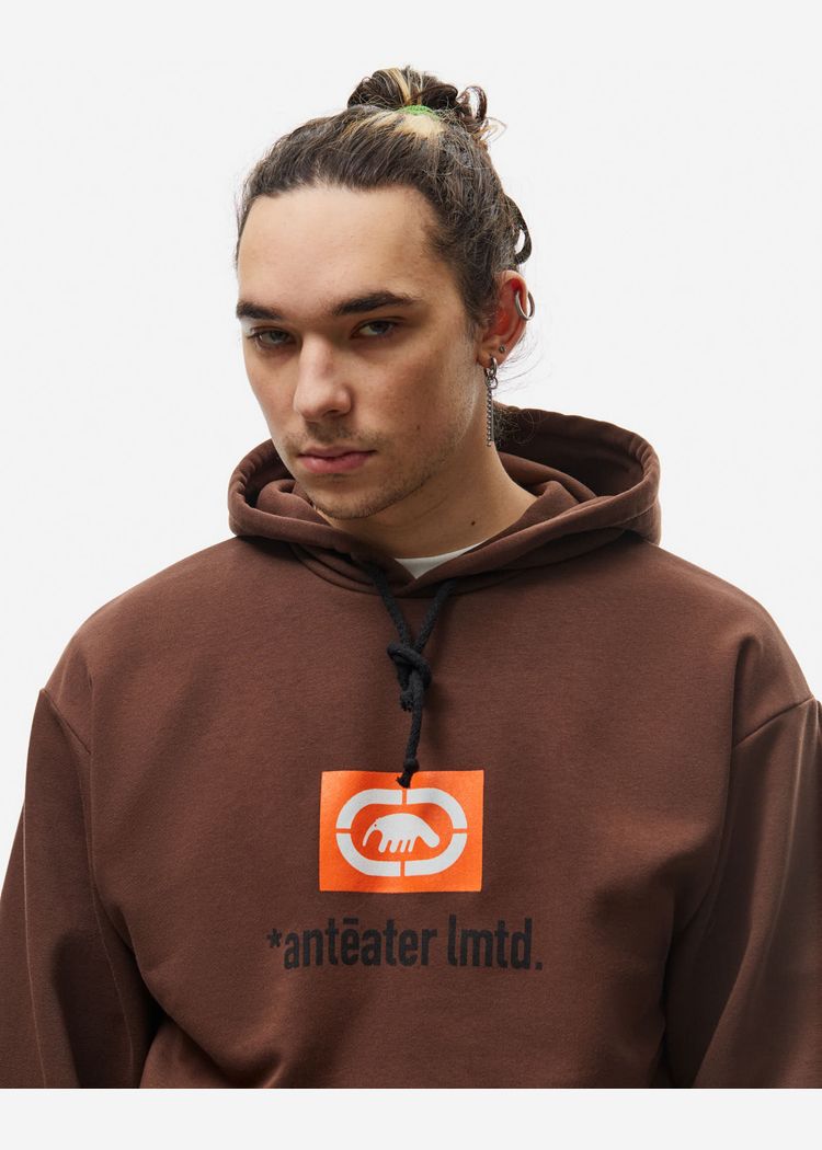 Толстовка коричневая ANTEATER Hoodie-Brown