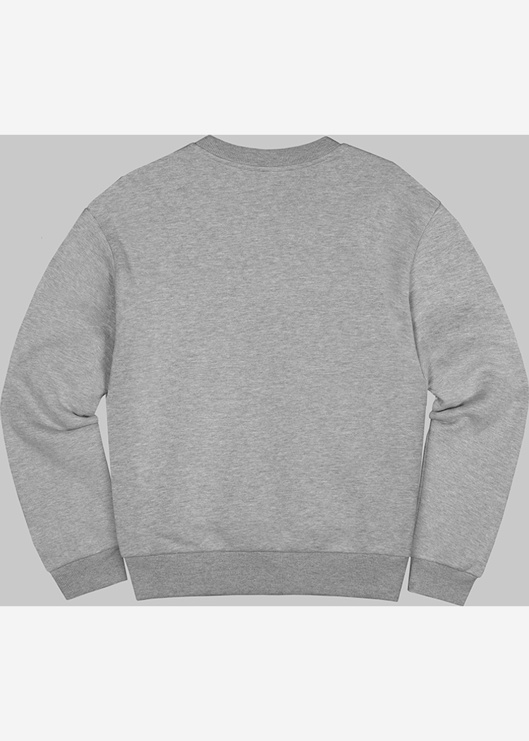 Свитшот ROCKIT SPDUST -S.05OS.DST серый унисекс