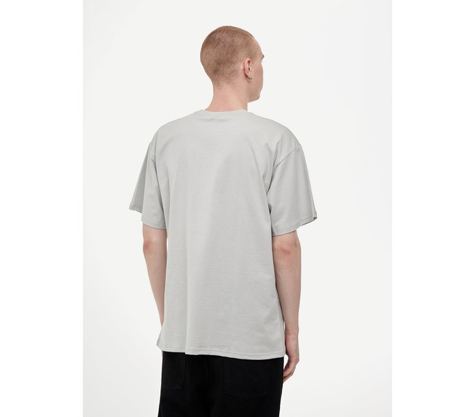 Футболка ANTEATER TEE 311 светло-серая