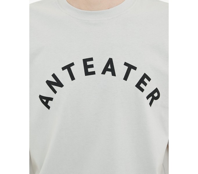 Футболка ANTEATER 349 светло-серая