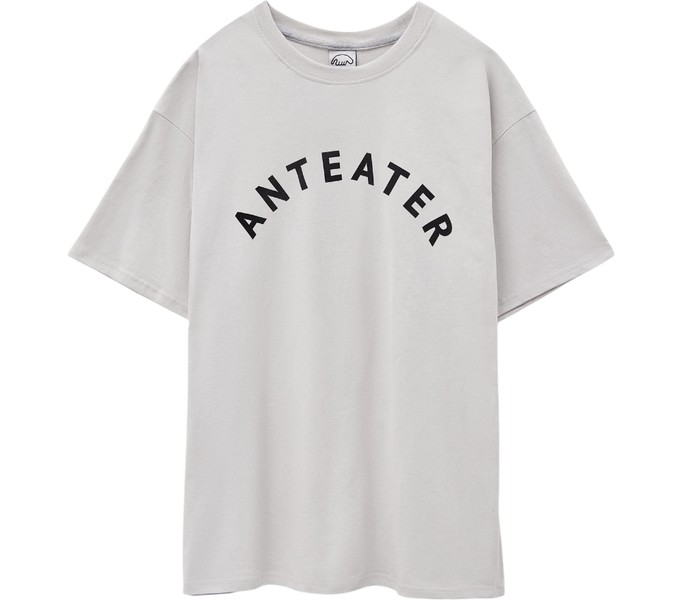 Футболка ANTEATER 349 светло-серая