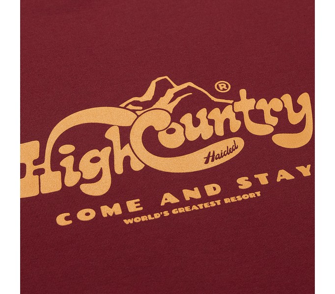 Лонгслив HIGH RLXD FIRM LS TEE бордовый унисекс